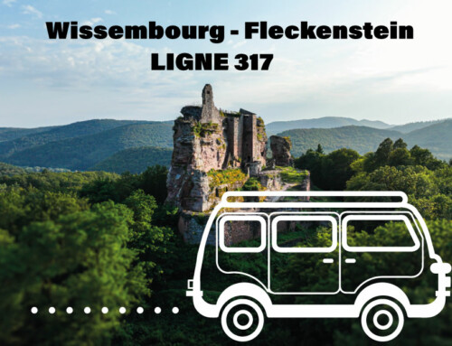 Navette Wissembourg – Fleckenstein  (ligne 317)